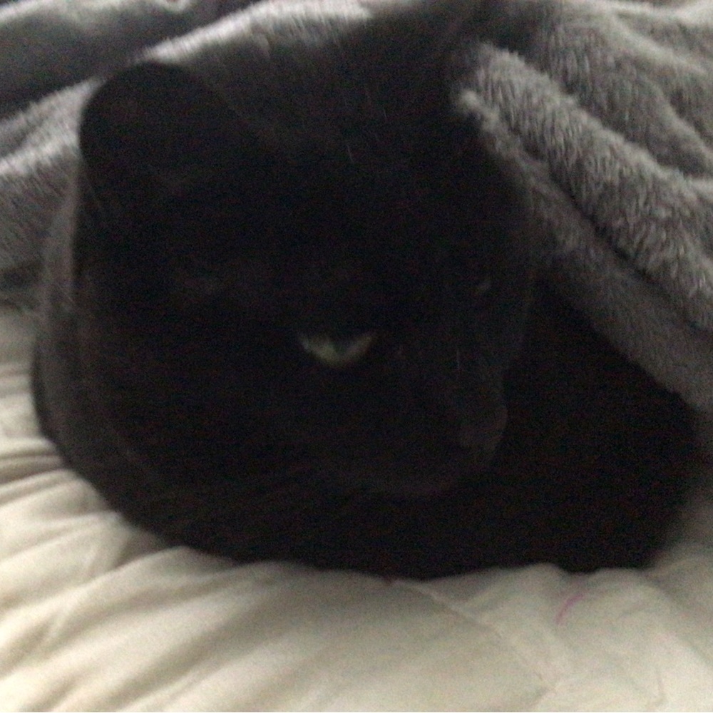 Meet your Posher, Flufffybuffy